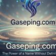 Gaseping com