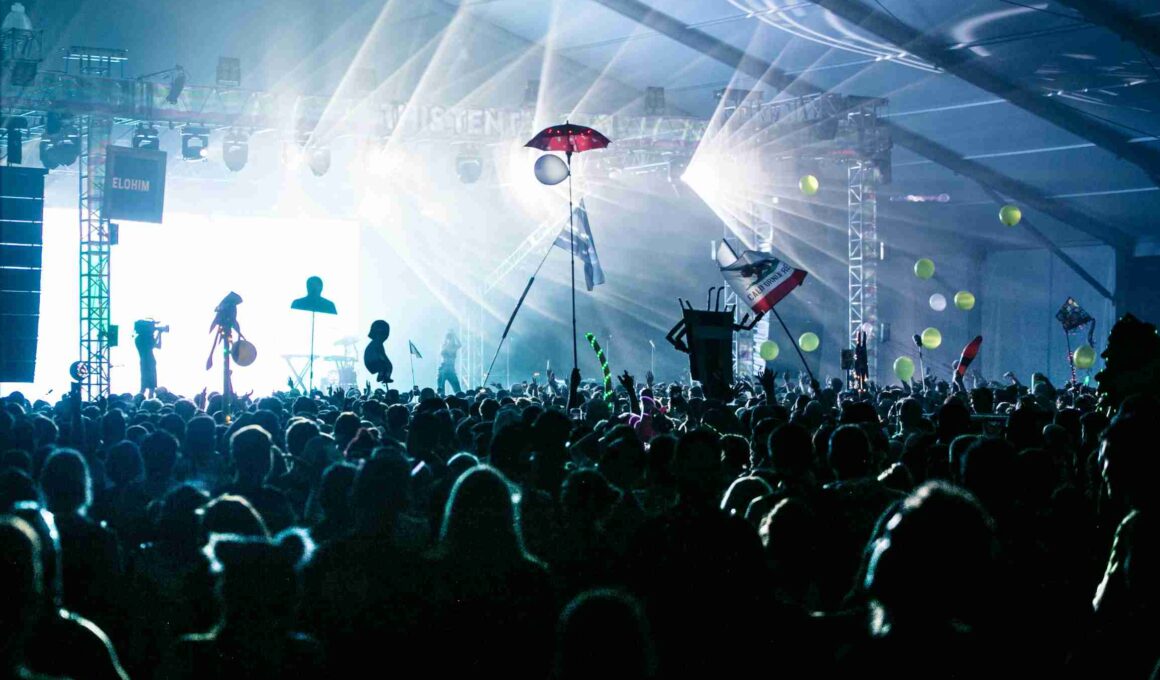Organise A Festival